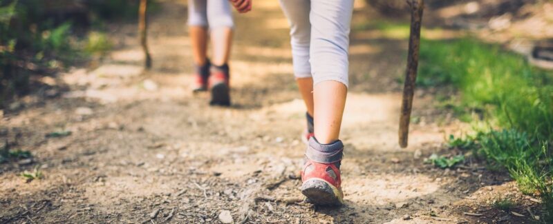 Best Hiking Trails Near Scranton