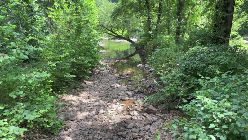 Bluestone National Scenic River