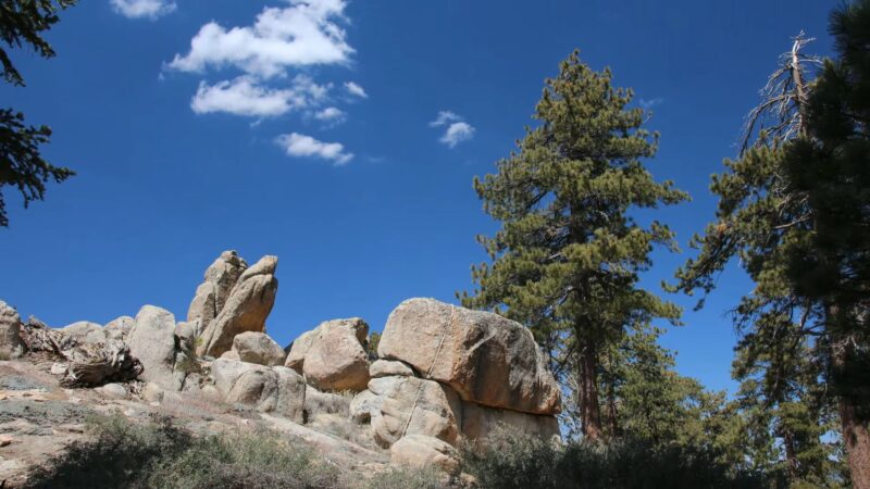 Castle Rock Trail