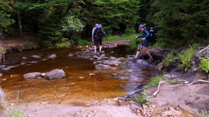 Dolly Sods Wilderness