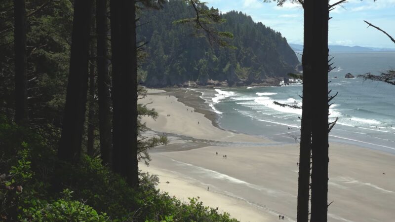 Oswald West State Park