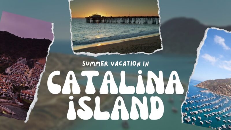summer vacation in catalina island - tips and things to do