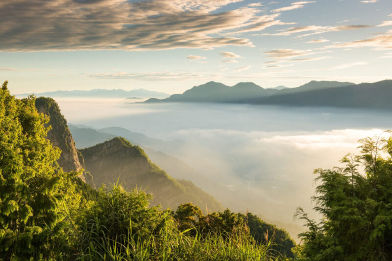 Alishan Mountain Range, Taiwan