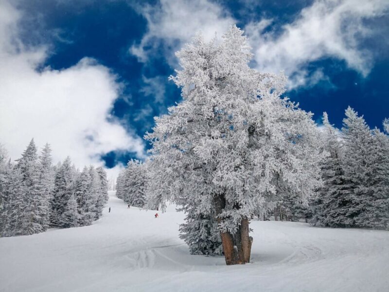 Does it Snow in Flagstaff, Arizona? | Arizona Snowbowl, Flagstaff, Arizona, United States