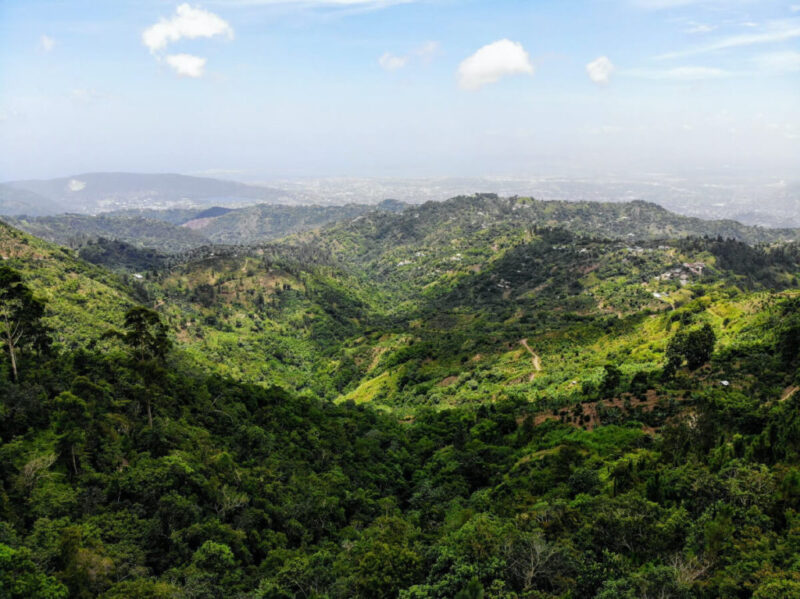 Blue Mountain Jamaica