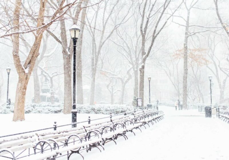 Central Park in New York, NY, USA