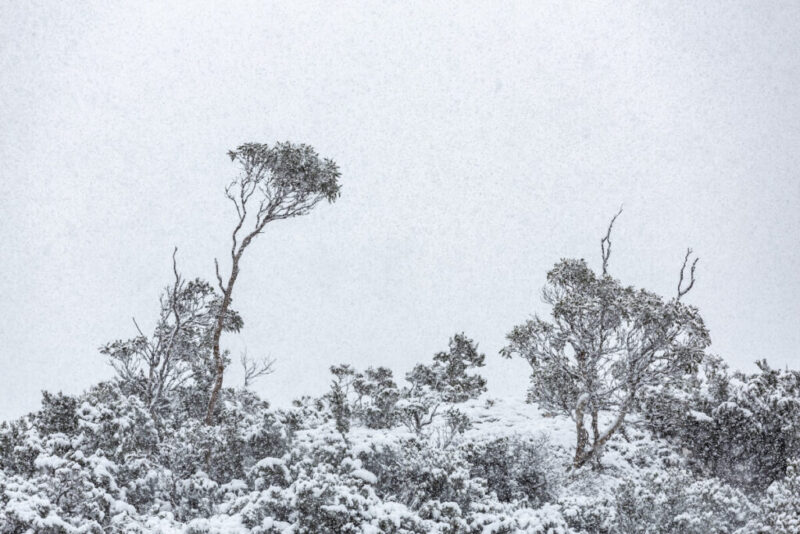 Cradle Mountain TAS, Australia