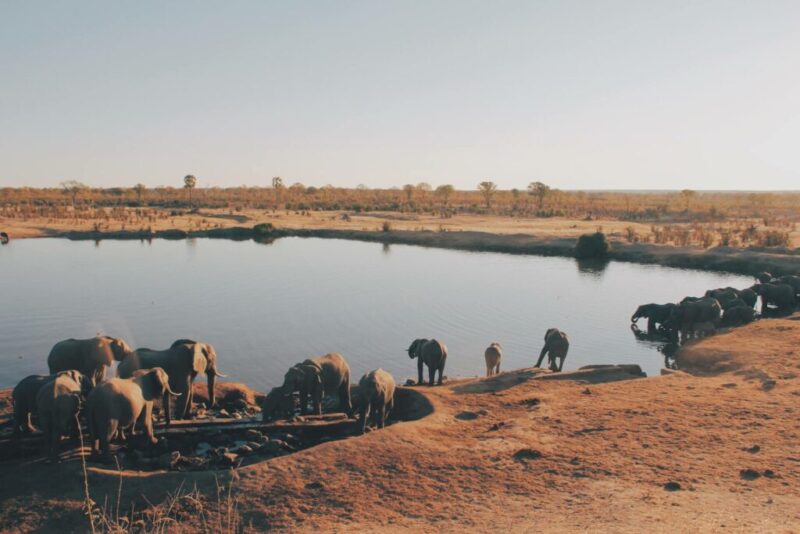 Hwange National Park, Zimbabwe