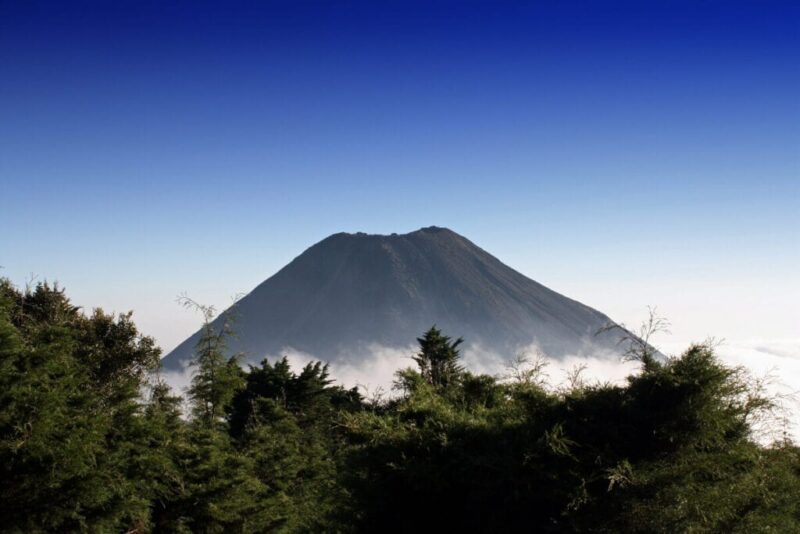 Volcán de Izalco | Izalco Valcano, El Salvador