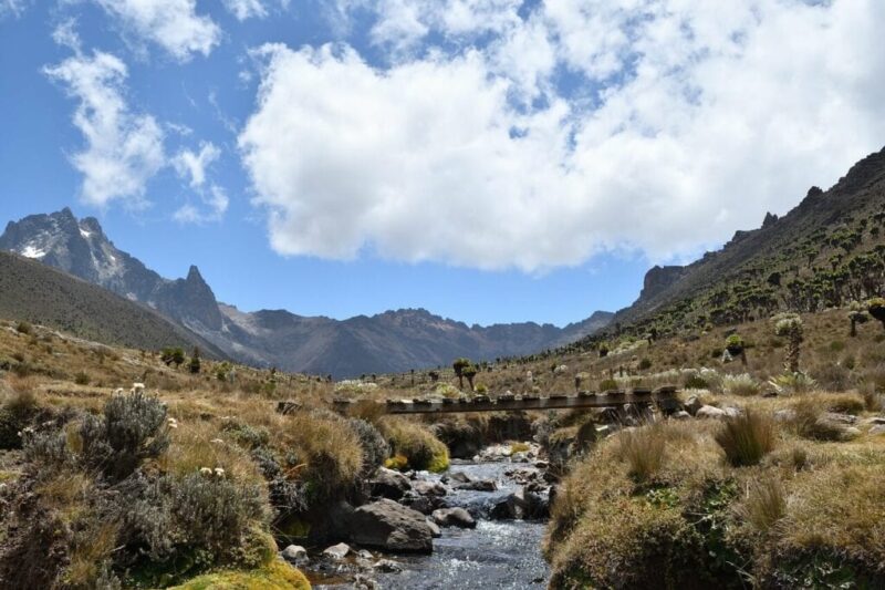Mount Kenya River Stream