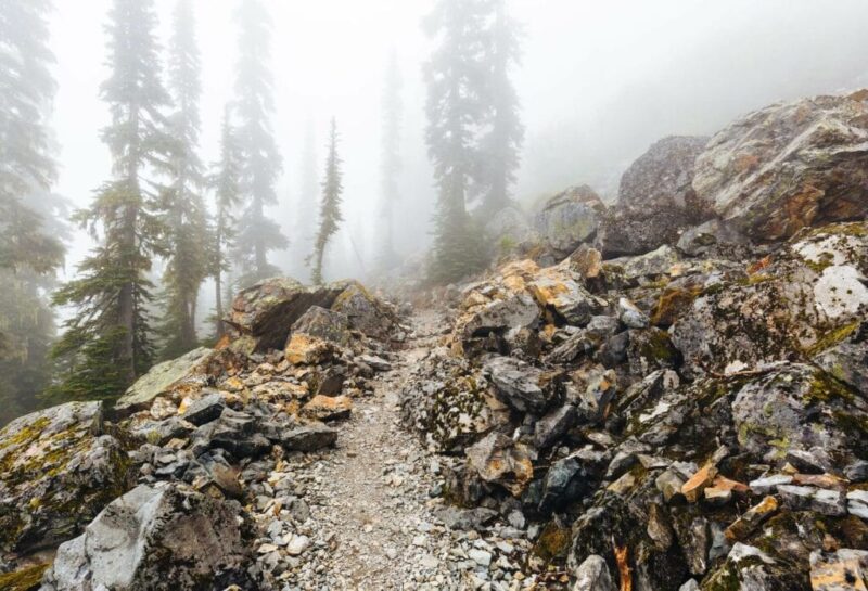 Pacific Crest trail, Snoqualmie Pass, WA, USA