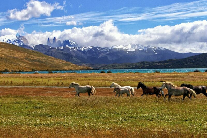 Torres del Paine, Magallanes and Chilean Antarctica, Chile