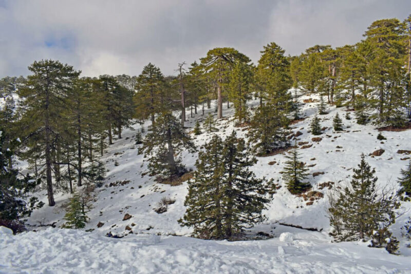 Troodos Mountains, Cyprus