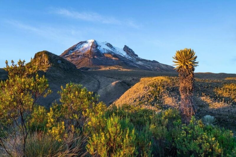 Does it Snow in Colombia? | Volcano Tolima in Los Nevados National Park with beautiful vegetation, Colombia