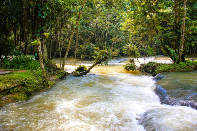 Jamaica Dunns' river falls park