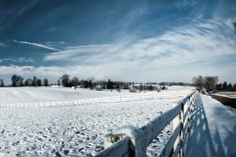 A Horse farm in Louisville, Kentucky | Does it Snow in Louisville?