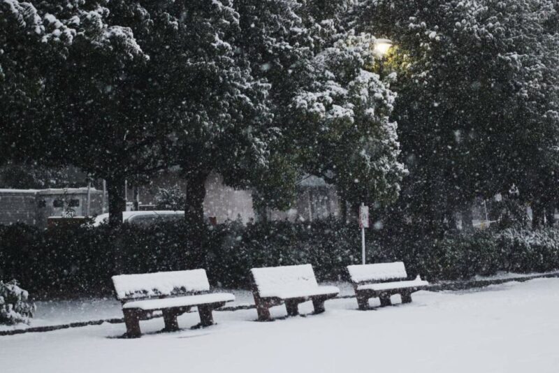 A Park in Israel During Snowfall | Does it Snow in Israel?