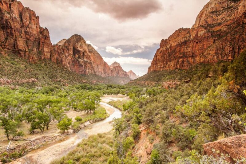 Amazing View of Zion National Park