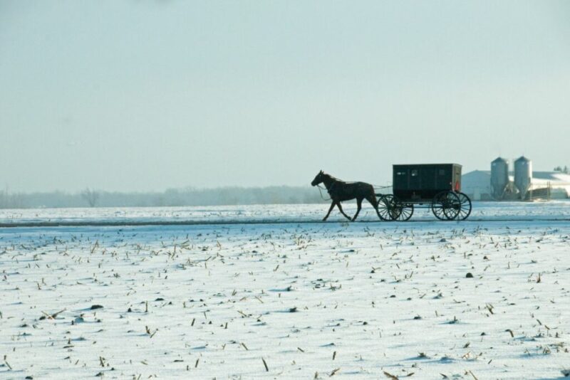 An Amish Buggy traveling on rural Indiana roads