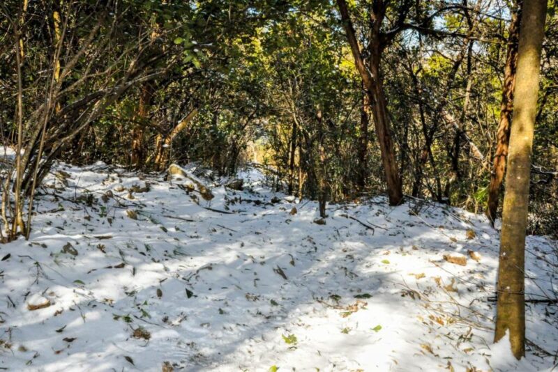 Austin Greenbelt With Snow | Does it Snow in Austin, TX?