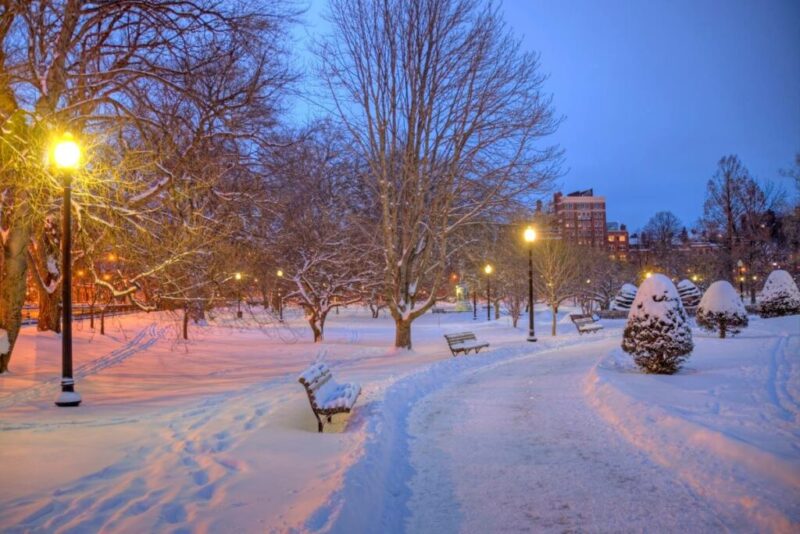 Boston Public Garden, Massachusetts