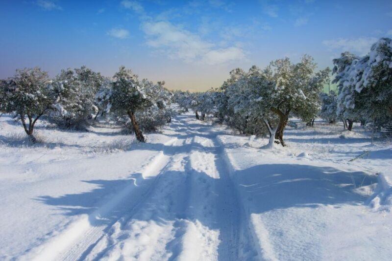 Camarma de Esteruelas, Spain | Does it Snow in Spain?