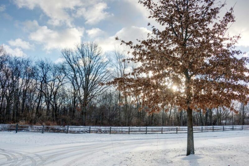 Canton, Ohio | Does it Snow in Ohio?