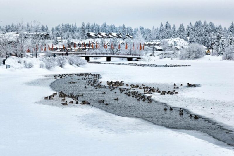 Deschutes River, Bend, Oregon | Does it Snow in Bend?