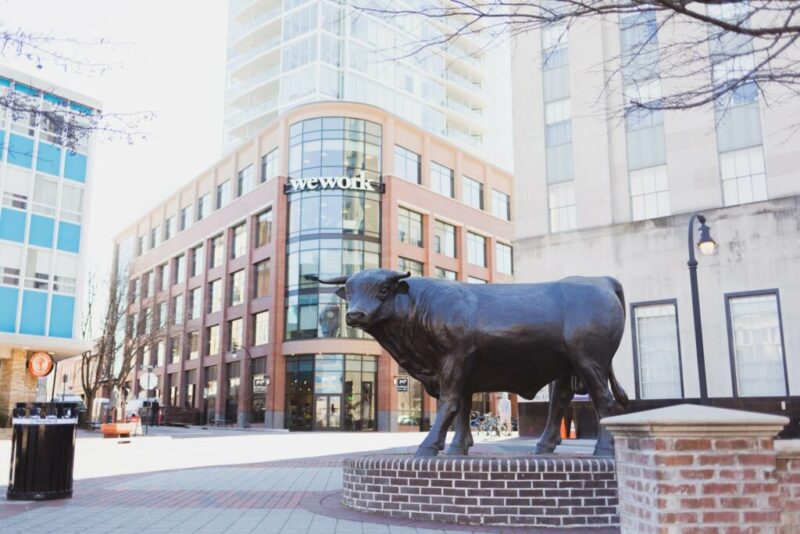 Durham Bull, Durham, NC, USA | Is there Snow in Durham, NC?