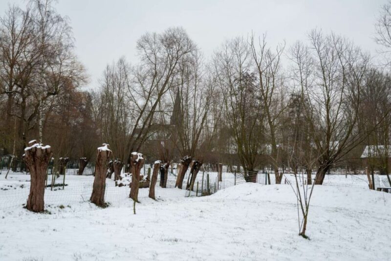 Flanders, Belgium | Does it Snow in Belgium?