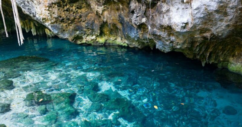 Grand Cenote, Tulum Mexico