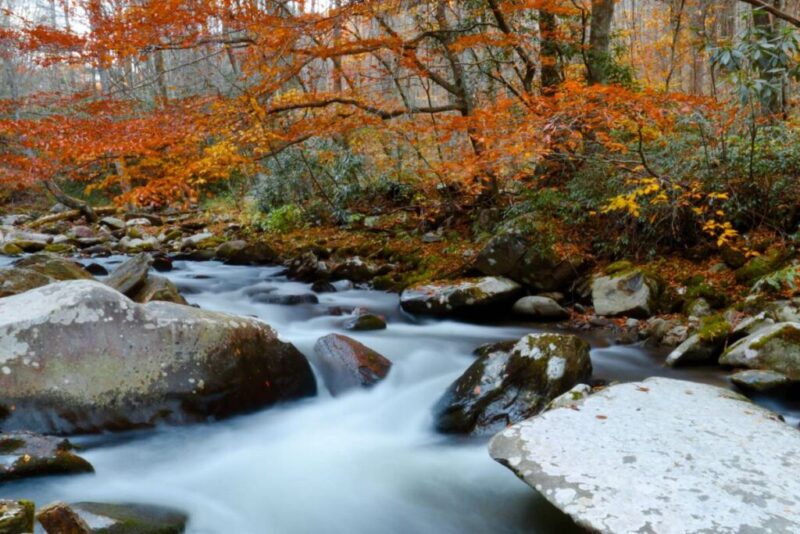 Great Smoky Mountains National Park, Tennessee