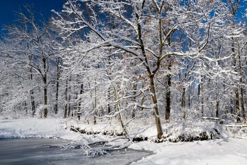 Illinois Winter Wonderland | Does it Snow in Illinois?