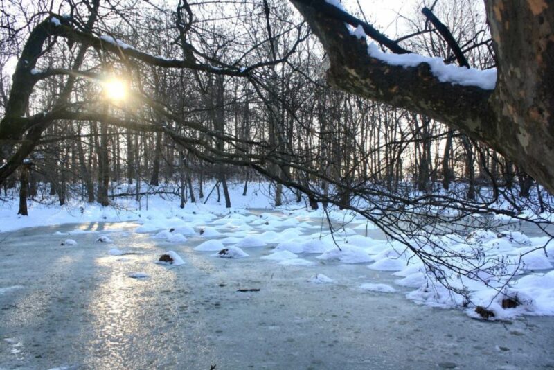 Italian Winter Outdoor Landscape | Does it Snow in Venice, Italy?