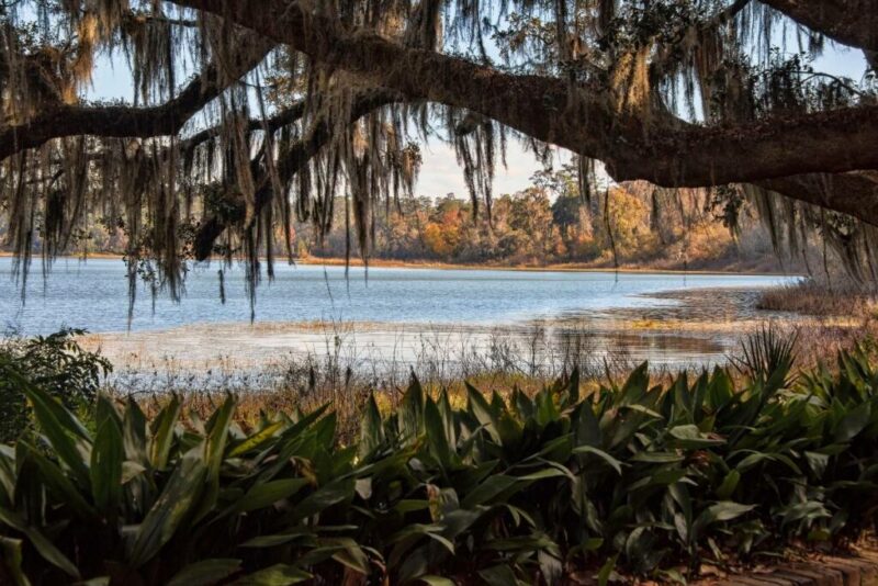 Lake Overstreet in Tallahassee, Florida | Snow in Tallahassee