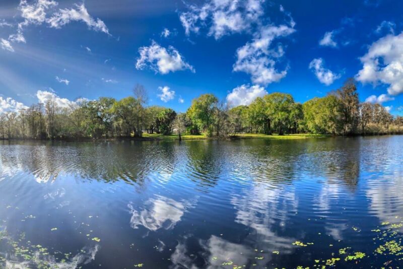 Lettuce Lake Park, Florida, USA | Does it Snow in Tampa, Florida?