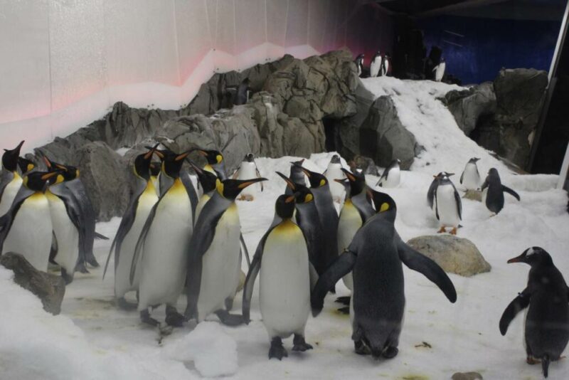 Melbourne Aquarium, Melbourne, Australia | Does it Snow in Melbourne, Australia?