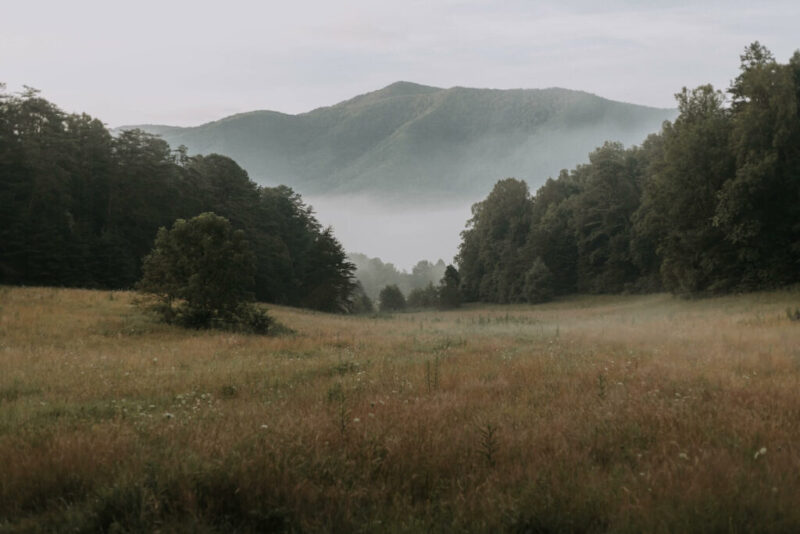 Smoky Mountains, Tennessee, United States | Does it Snow in Tennessee, USA?