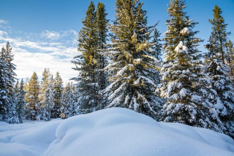 Snow Mounds near Big Sky Resort, Montana | Does it Snow in Montana, USA?