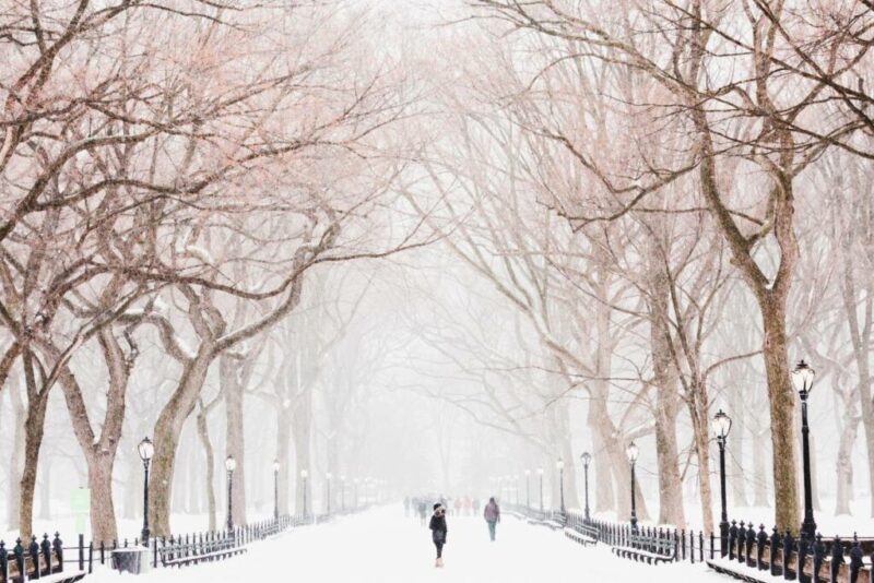 Snowfall in Tokyo, Japan | Does it Snow in Tokyo Japan?