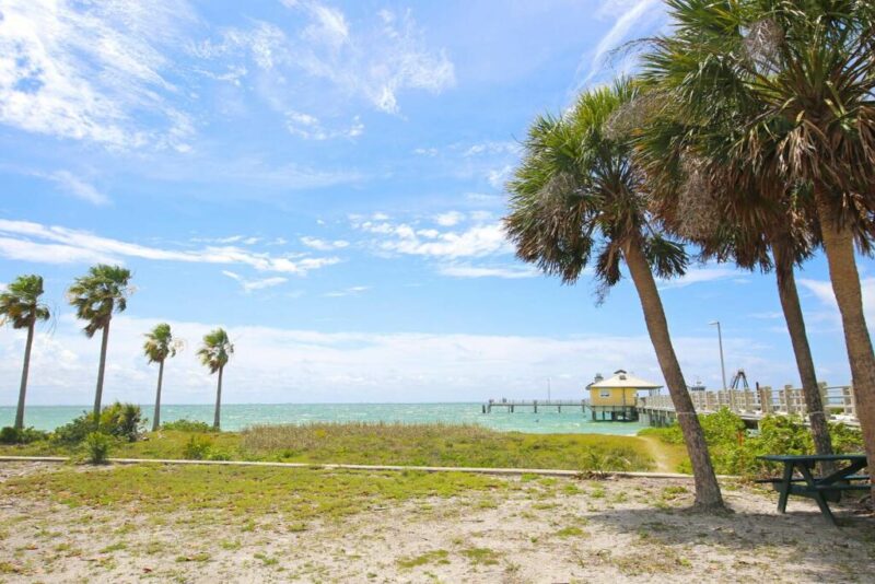 Tampa Beach Pier, Florida | Does it Snow in Tampa, Florida?