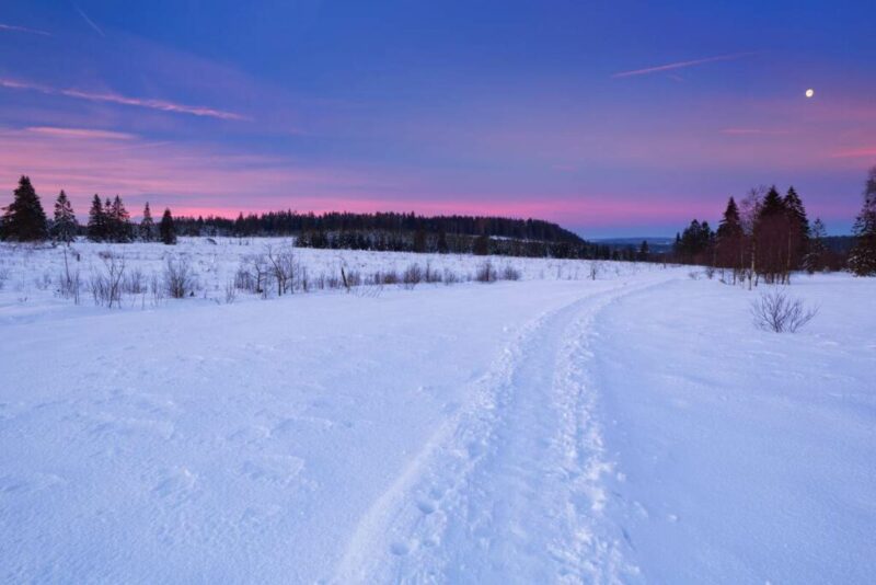 The Hautes Fagnes in Belgium in winter | Does it Snow in Belgium?