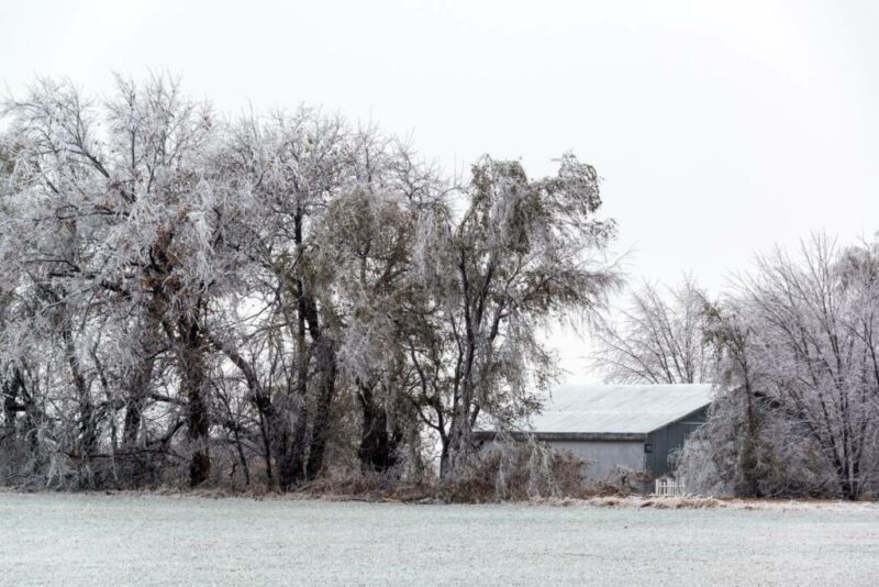Winter Landscape near Burrton, Kansas | Does it Snow in Kansas, USA?
