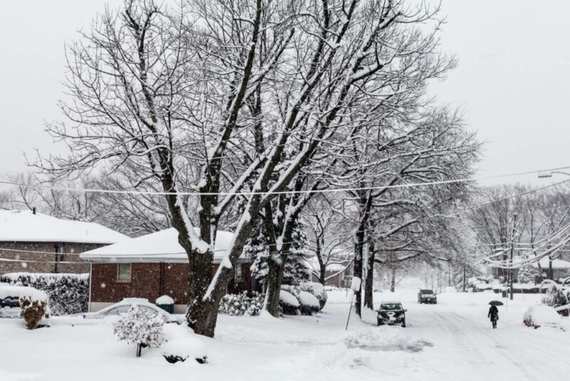 Winter Scene - New Jersey