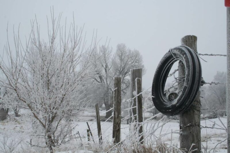 Winter in Iowa | Does it Snow in Iowa?