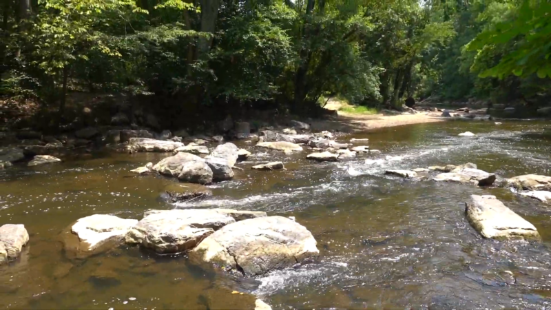 Enjoy a Green Escape at Rock Creek Park