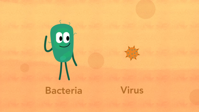 Germs and Viruses