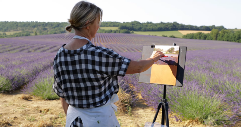 Provence's Lavender Fields