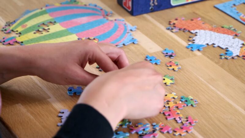 Puzzle Enthusiasts